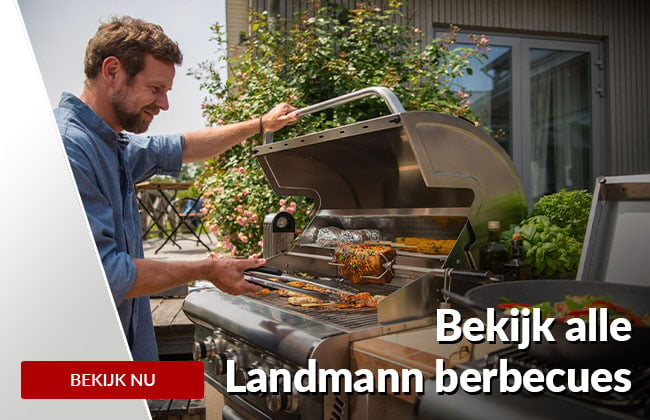 Barbecue landmann on sale